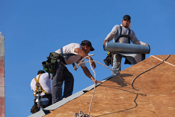 Best Roof Gutter Cleaning  in Advance, MO